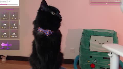  Fantasma.  online show from October 25, 1:13 am