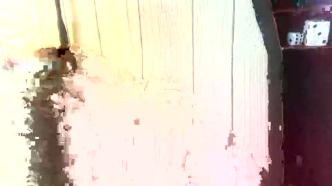 findommefoxi online show from January 24, 7:07 pm