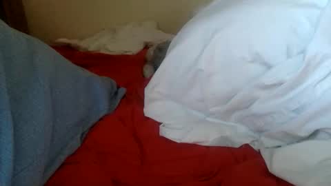 floraexploration online show from November 18, 3:02 pm