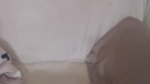 say meow and send tip  online show from July 12, 12:17 pm