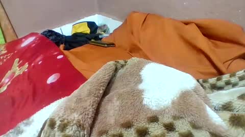 francia456881 online show from July 29, 2:44 am