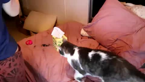 fuckmypussyplz1 online show from October 8, 9:46 am