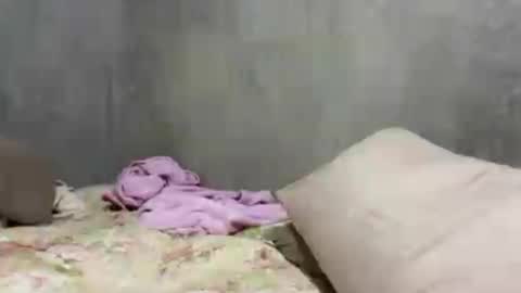 goddess_jennyxx online show from July 4, 10:11 am