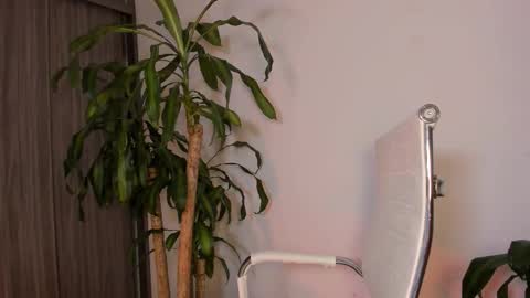 Snapshot of hailey_firee chatting on October 2, 10:31 am Hailey online show from October 2, 10:31 am