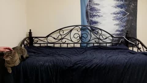 hairypoper online show from December 18, 3:44 am