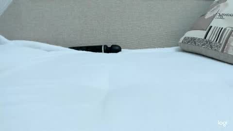 Snapshot of hanah_cho_cho chatting on September 24, 7:29 am Hanah online show from September 24, 7:29 am