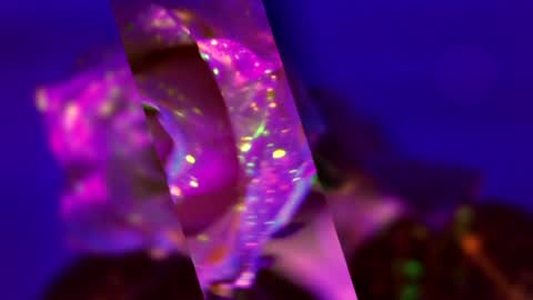 Alina online show from November 23, 7:04 pm