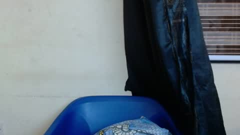 horny4bum online show from March 1, 7:48 pm