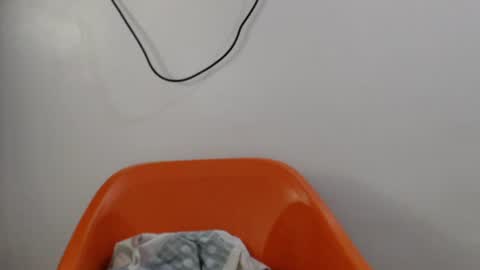 hornyxbum online show from July 14, 10:21 am