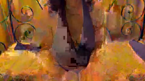 Dina online show from November 11, 2:36 pm