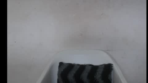 Snapshot of hotjessie0 chatting on October 14, 7:44 am hotjessie0 online show from October 14, 7:44 am