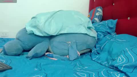 Indian online show from February 9, 2:41 pm