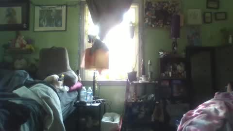 Snapshot of indigo_scorpio chatting on February 5, 6:48 pm indigo_scorpio online show from February 5, 6:48 pm