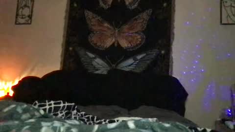 Indigo Bay online show from January 10, 12:17 am