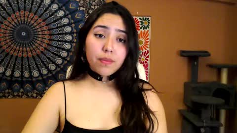 Africa online show from February 27, 6:09 pm