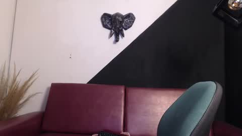   online show from February 19, 2:38 pm