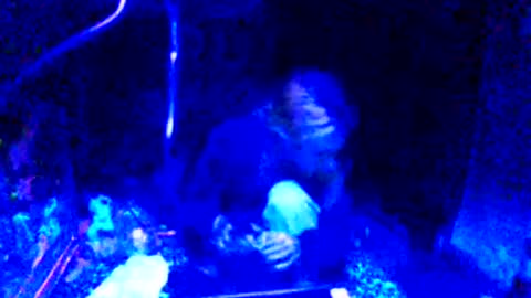 Girlnextdoor online show from March 25, 10:29 am