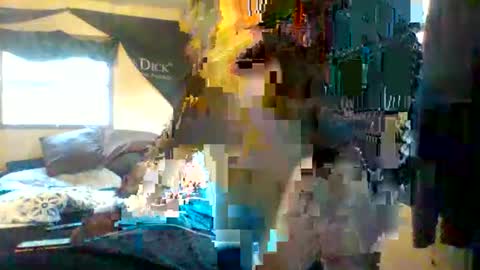 its kimber online show from February 16, 3:12 pm