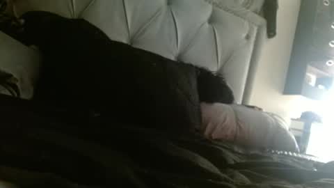 Jade1886 online show from March 6, 8:20 am