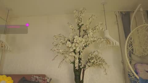 Jade Summer online show from February 16, 11:32 am