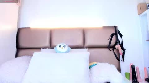 Snapshot of janette_rider_ chatting on February 15, 3:31 am Janette online show from February 15, 3:31 am