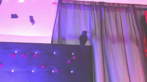 jannaasuna online show from December 6, 9:45 pm