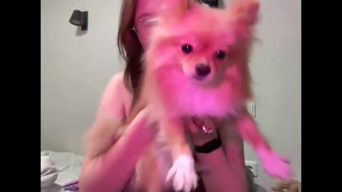 Snapshot of jelly_gum chatting on March 3, 3:15 pm Inna online show from March 3, 3:15 pm