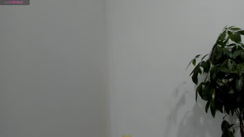 sofiaparker8 online show from July 26, 11:34 pm
