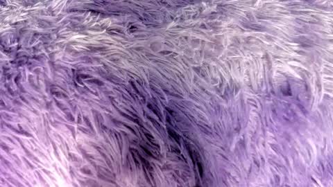 juliana_js_ online show from October 20, 3:20 am