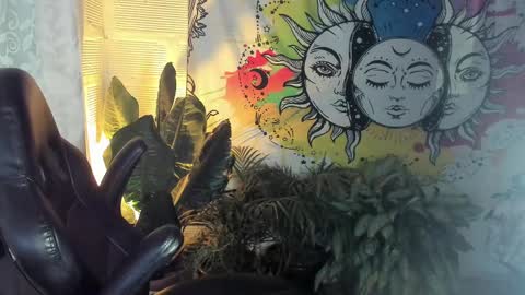 Sofia online show from February 21, 10:39 am