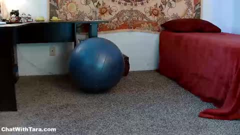 Snapshot of kalikushdreamz chatting on September 15, 2:14 pm Tara Smith online show from September 15, 2:14 pm