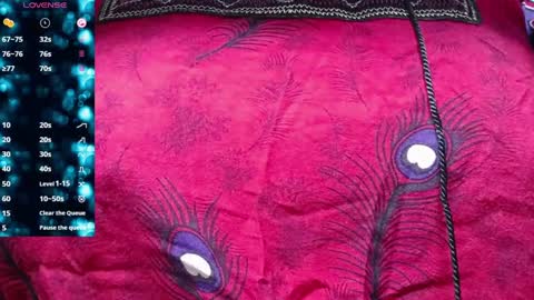 Snapshot of kalpananaisha_ chatting on February 3, 10:03 am Alisha online show from February 3, 10:03 am