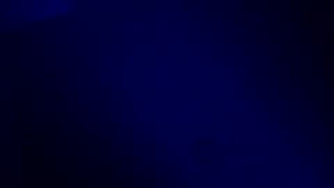 Karla Gonzaless online show from November 19, 7:30 am