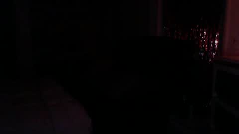 sexykat online show from September 14, 8:01 am