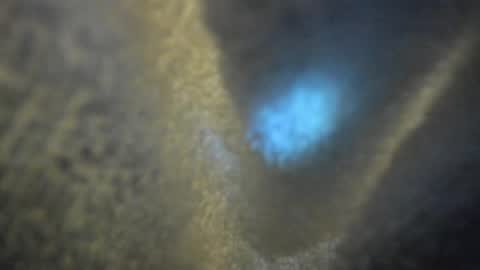 Kate  online show from April 16, 10:15 am