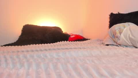 Katha online show from October 23, 1:00 am