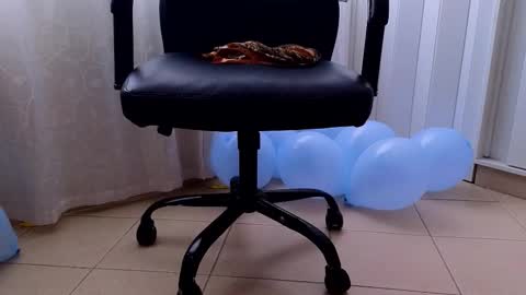 KT new account online show from December 17, 8:24 pm