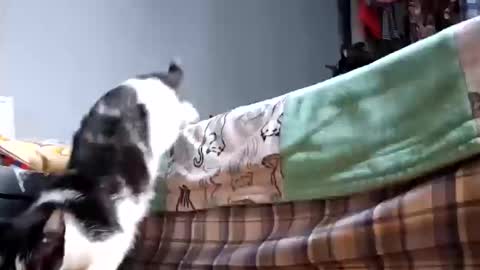 katladyzsafespace online show from October 17, 3:15 pm