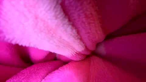 Josie live show Tuesday Wednesday and Thursday online show from November 30, 9:24 am