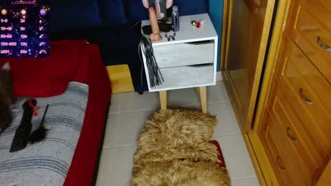 Arianna online show from December 2, 7:36 pm