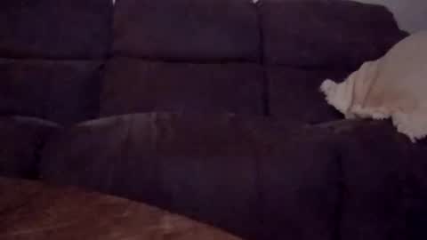 Brat online show from December 3, 5:32 am