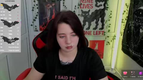 meow online show from May 22, 12:47 pm
