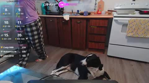Snapshot of kittyymaze chatting on February 27, 2:21 pm Kittyymaze online show from February 27, 2:21 pm
