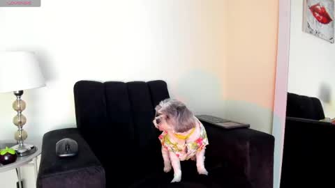 lace_victoria online show from June 6, 12:50 am