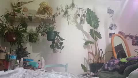 Snapshot of lacybell chatting on December 24, 6:44 am lacybell online show from December 24, 6:44 am