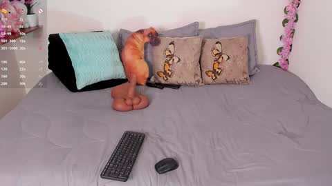 laura1__ online show from December 15, 11:32 pm