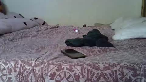 lavymummie online show from February 10, 2:14 am