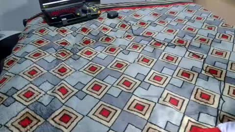 kelly online show from November 2, 12:58 am