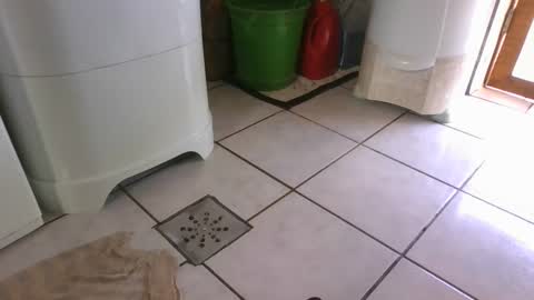 kelly online show from March 7, 6:22 pm