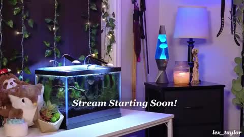 Lex online show from February 18, 4:38 pm